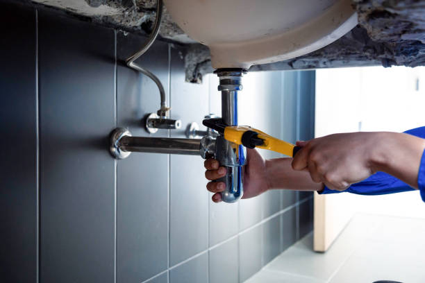 Best Commercial Plumbing Services  in Lake Royale, NC